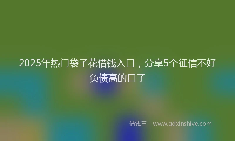 2025年热门袋子花借钱入口,分享5个征信不好负债高的口子