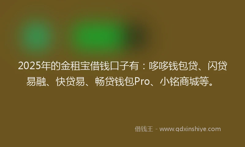 2025年的金租宝借钱口子有：哆哆钱包贷、闪贷易融、快贷易、畅贷钱包Pro、小铭商城等。