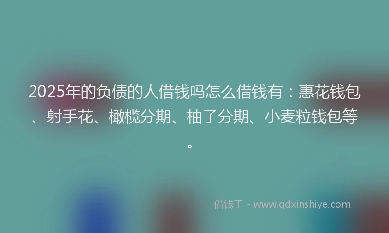 2025年的负债的人借钱吗怎么借钱有:惠花钱包、射手花、橄榄分期、柚子分期、小麦粒钱包等。