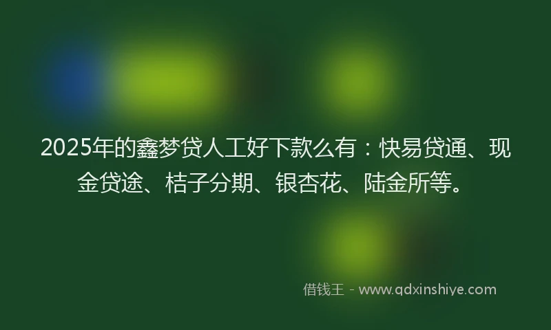 2025年的鑫梦贷人工好下款么有:快易贷通、现金贷途、桔子分期、银杏花、陆金所等。