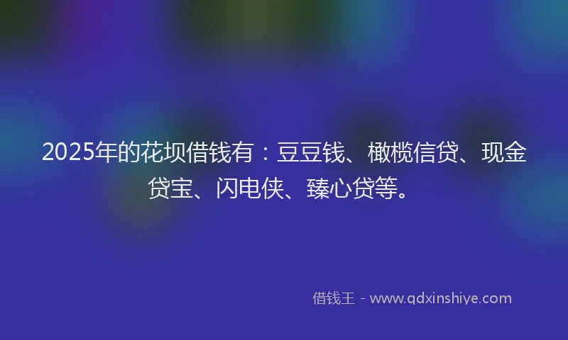 2025年的花坝借钱有：豆豆钱、橄榄信贷、现金贷宝、闪电侠、臻心贷等。