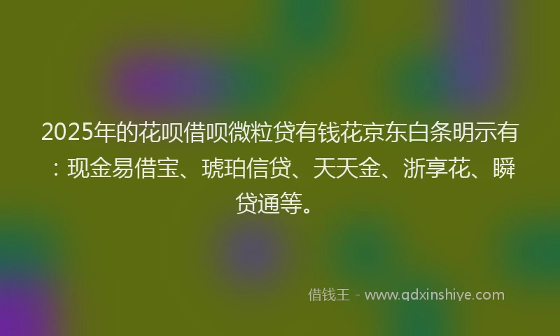 2025年的花呗借呗微粒贷有钱花京东白条明示有:现金易借宝、琥珀信贷、天天金、浙享花、瞬贷通等。