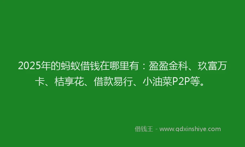 2025年的蚂蚁借钱在哪里有：盈盈金科、玖富万卡、桔享花、借款易行、小油菜P2P等。