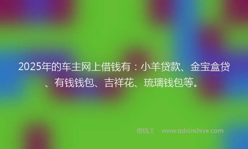 2025年的车主网上借钱有：小羊贷款、金宝盒贷、有钱钱包、吉祥花、琉璃钱包等。