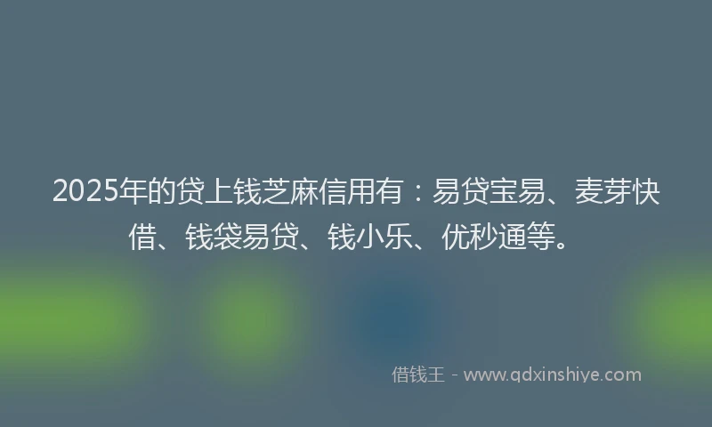 2025年的贷上钱芝麻信用有:易贷宝易、麦芽快借、钱袋易贷、钱小乐、优秒通等。