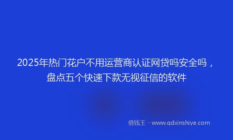 2025年热门花户不用运营商认证网贷吗安全吗，盘点五个快速下款无视征信的软件