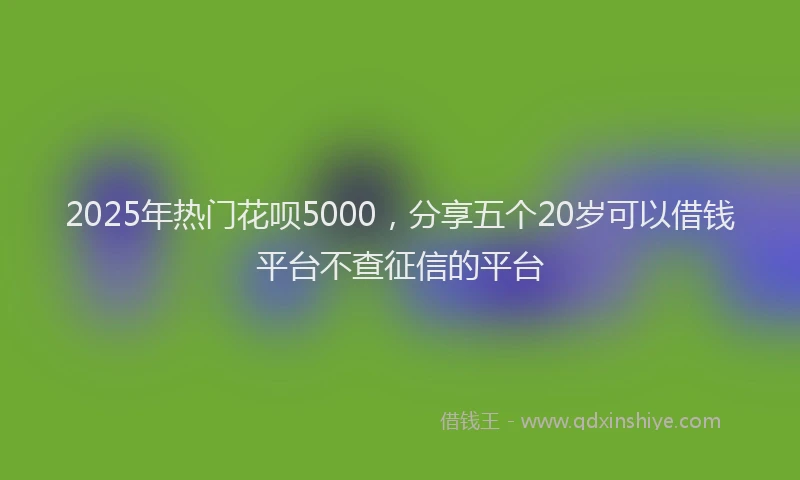 2025年热门花呗5000，分享五个20岁可以借钱平台不查征信的平台