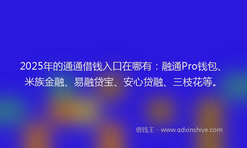 2025年的通通借钱入口在哪有:融通Pro钱包、米族金融、易融贷宝、安心贷融、三枝花等。