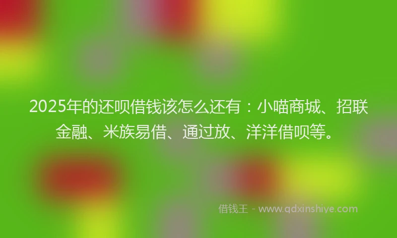 2025年的还呗借钱该怎么还有：小喵商城、招联金融、米族易借、通过放、洋洋借呗等。