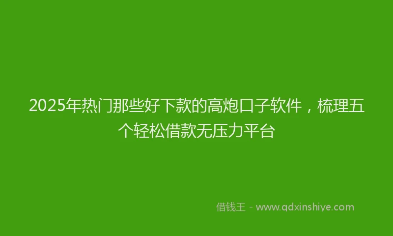 2025年热门那些好下款的高炮口子软件,梳理五个轻松借款无压力平台