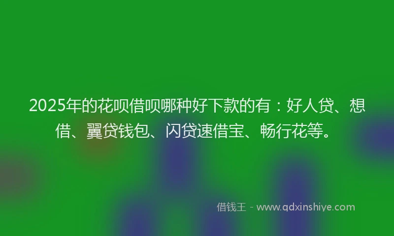 2025年的花呗借呗哪种好下款的有：好人贷、想借、翼贷钱包、闪贷速借宝、畅行花等。