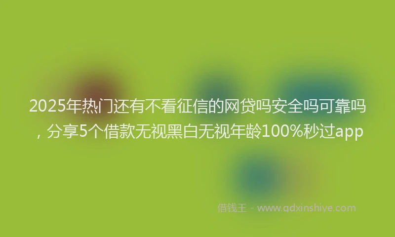 2025年热门还有不看征信的网贷吗安全吗可靠吗,分享5个借款无视黑白无视年龄100%秒过app