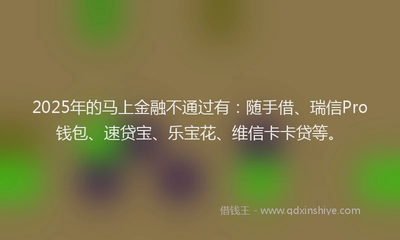 2025年的马上金融不通过有：随手借、瑞信Pro钱包、速贷宝、乐宝花、维信卡卡贷等。
