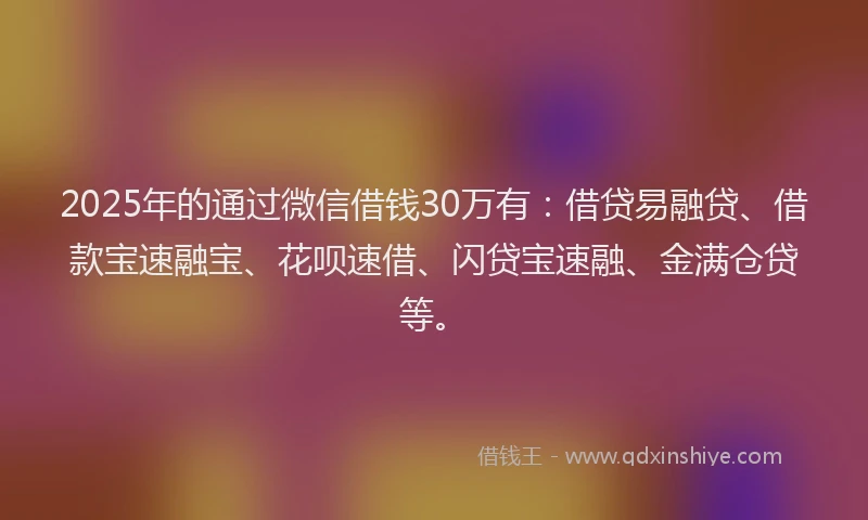 2025年的通过微信借钱30万有：借贷易融贷、借款宝速融宝、花呗速借、闪贷宝速融、金满仓贷等。
