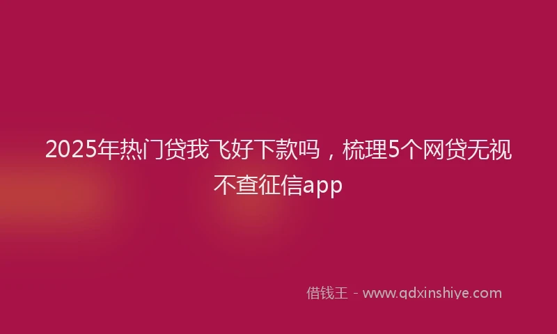 2025年热门贷我飞好下款吗,梳理5个网贷无视不查征信app