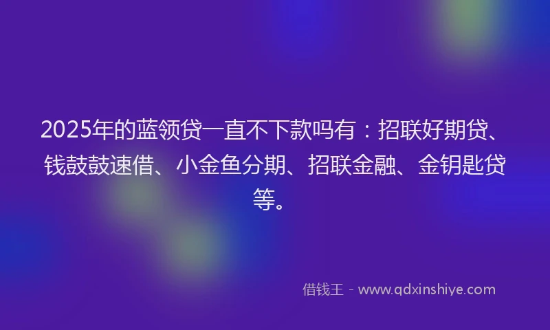 2025年的蓝领贷一直不下款吗有：招联好期贷、钱鼓鼓速借、小金鱼分期、招联金融、金钥匙贷等。