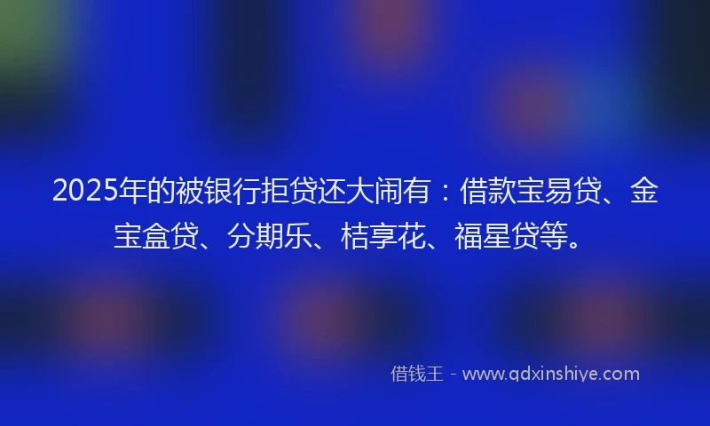 2025年的被银行拒贷还大闹有：借款宝易贷、金宝盒贷、分期乐、桔享花、福星贷等。