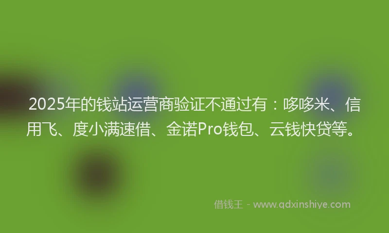 2025年的钱站运营商验证不通过有：哆哆米、信用飞、度小满速借、金诺Pro钱包、云钱快贷等。