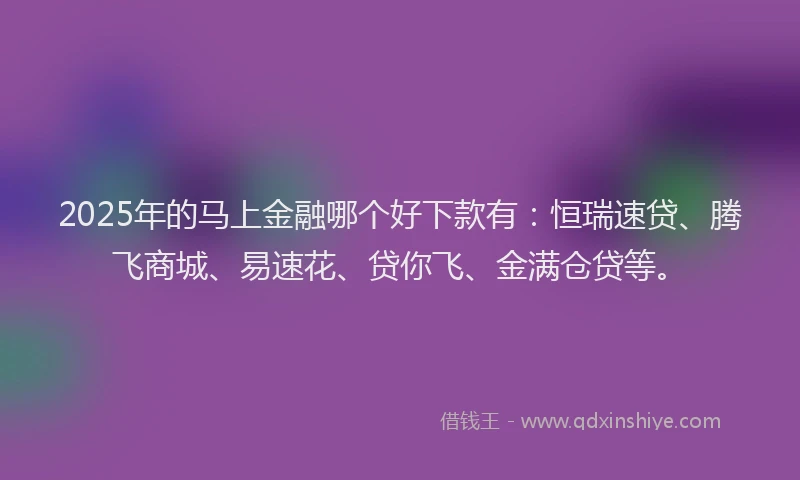 2025年的马上金融哪个好下款有：恒瑞速贷、腾飞商城、易速花、贷你飞、金满仓贷等。