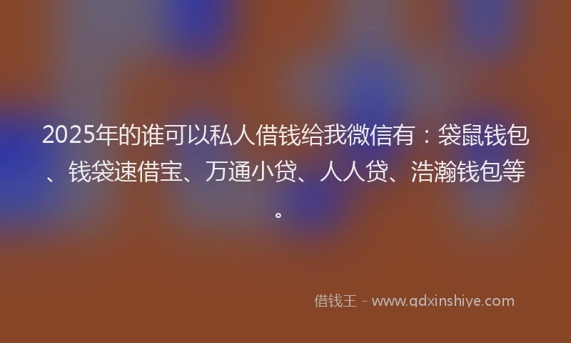 2025年的谁可以私人借钱给我微信有：袋鼠钱包、钱袋速借宝、万通小贷、人人贷、浩瀚钱包等。