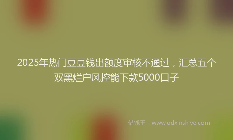 2025年热门豆豆钱出额度审核不通过，汇总五个双黑烂户风控能下款5000口子
