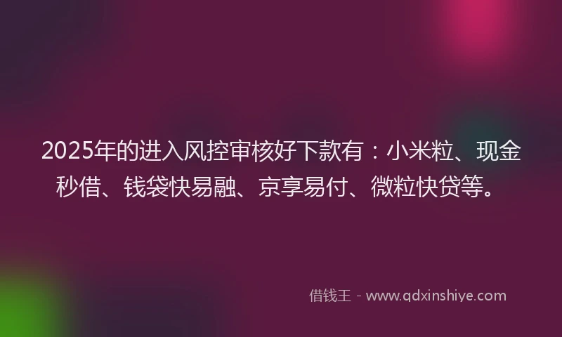 2025年的进入风控审核好下款有:小米粒、现金秒借、钱袋快易融、京享易付、微粒快贷等。