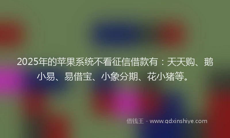 2025年的苹果系统不看征信借款有：天天购、鹅小易、易借宝、小象分期、花小猪等。