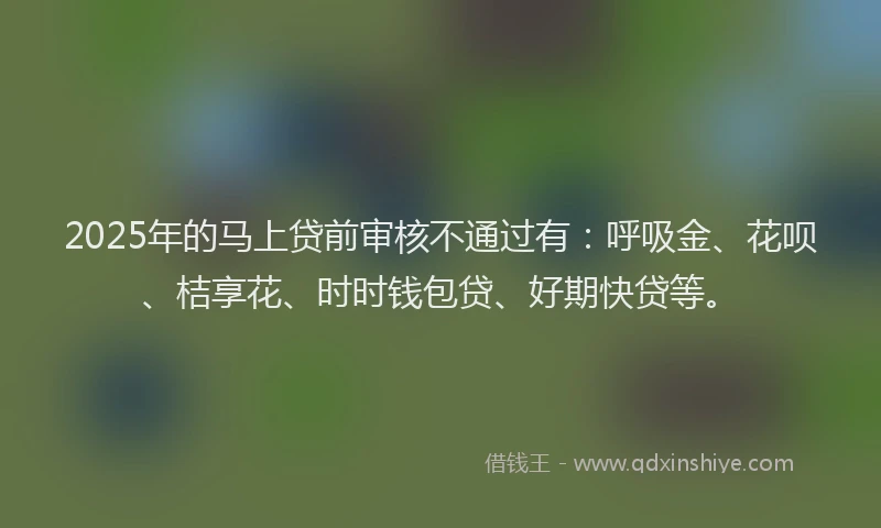2025年的马上贷前审核不通过有：呼吸金、花呗、桔享花、时时钱包贷、好期快贷等。