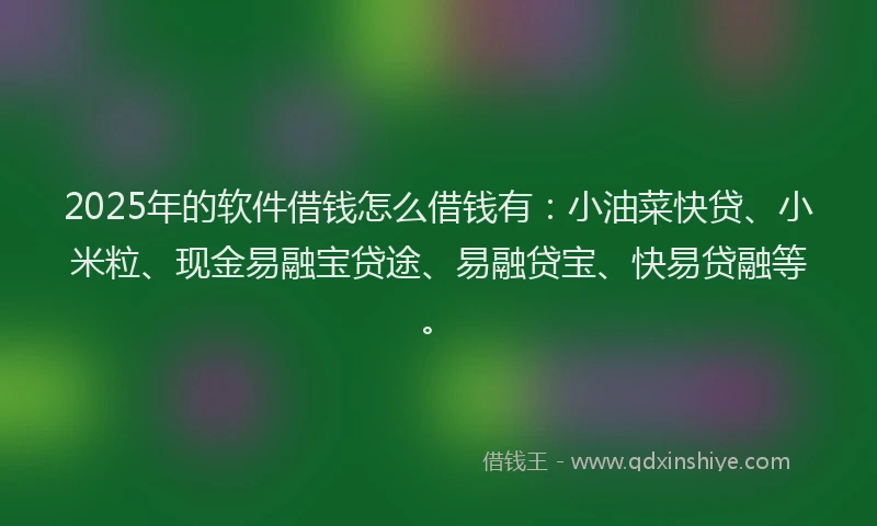 2025年的软件借钱怎么借钱有：小油菜快贷、小米粒、现金易融宝贷途、易融贷宝、快易贷融等。
