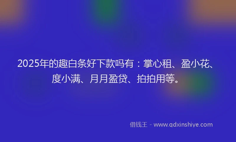 2025年的趣白条好下款吗有:掌心租、盈小花、度小满、月月盈贷、拍拍用等。