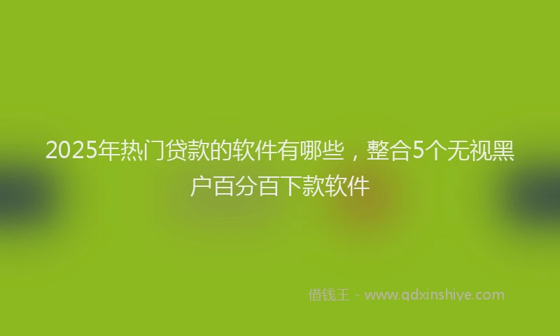 2025年热门贷款的软件有哪些,整合5个无视黑户百分百下款软件