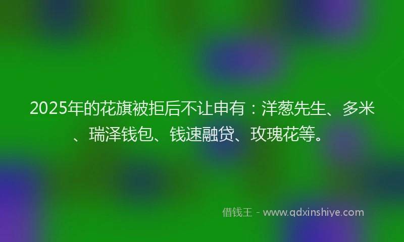 2025年的花旗被拒后不让申有：洋葱先生、多米、瑞泽钱包、钱速融贷、玫瑰花等。
