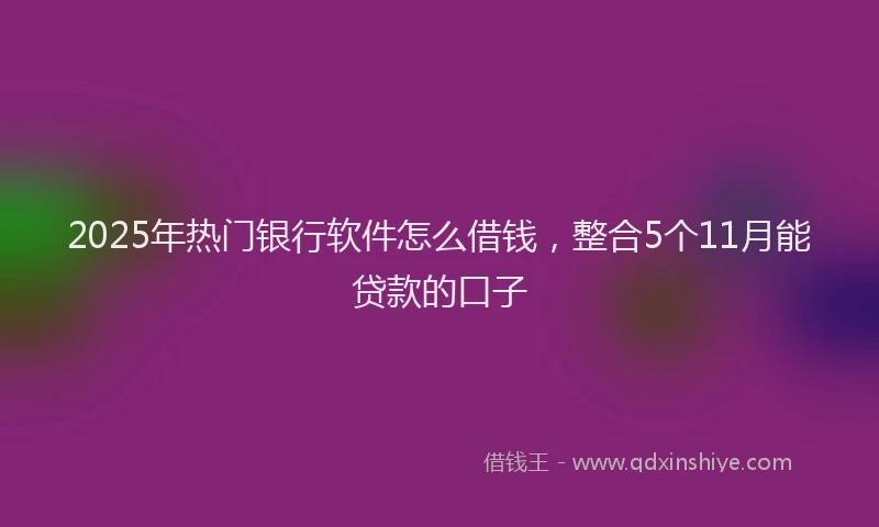2025年热门银行软件怎么借钱，整合5个11月能贷款的口子