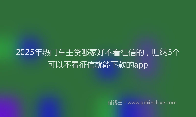 2025年热门车主贷哪家好不看征信的,归纳5个可以不看征信就能下款的app