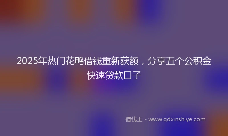 2025年热门花鸭借钱重新获额，分享五个公积金快速贷款口子