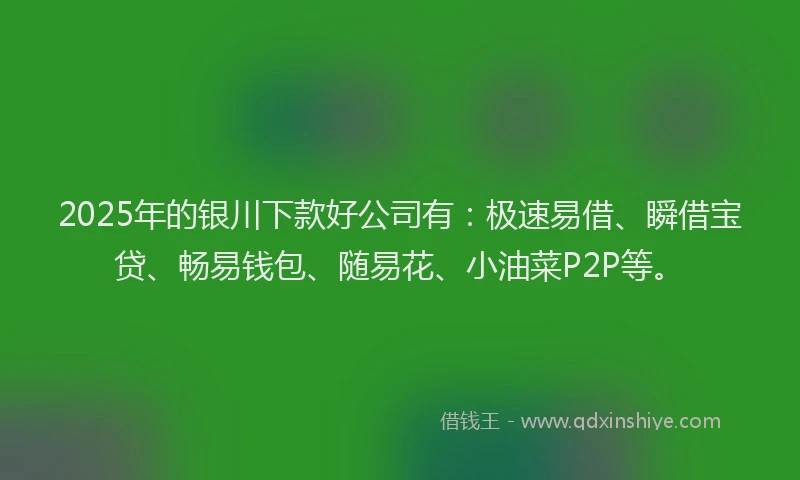 2025年的银川下款好公司有：极速易借、瞬借宝贷、畅易钱包、随易花、小油菜P2P等。