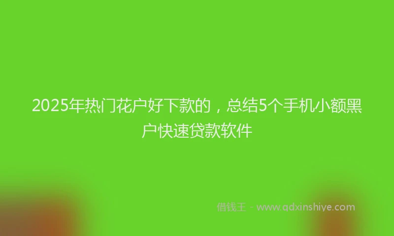 2025年热门花户好下款的,总结5个手机小额黑户快速贷款软件