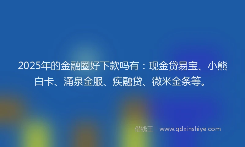 2025年的金融圈好下款吗有：现金贷易宝、小熊白卡、涌泉金服、疾融贷、微米金条等。