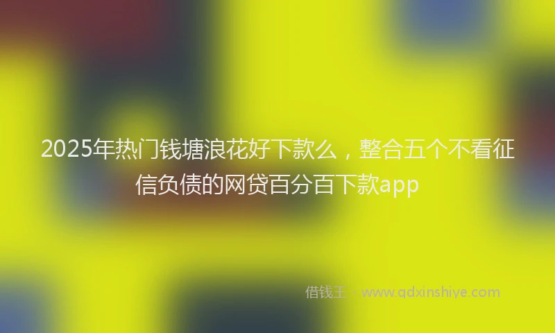 2025年热门钱塘浪花好下款么,整合五个不看征信负债的网贷百分百下款app