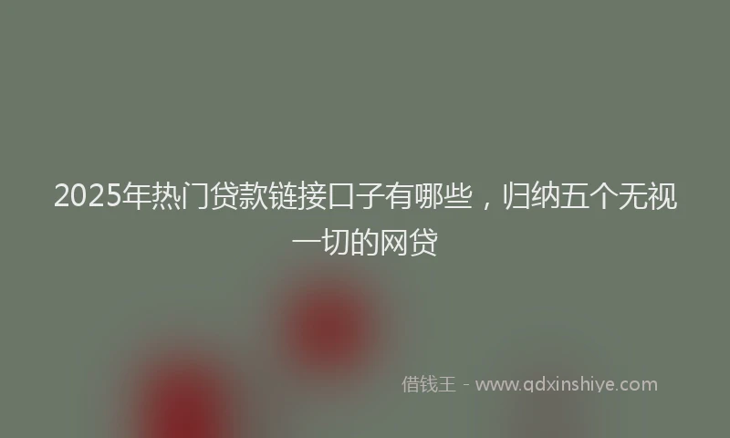 2025年热门贷款链接口子有哪些,归纳五个无视一切的网贷