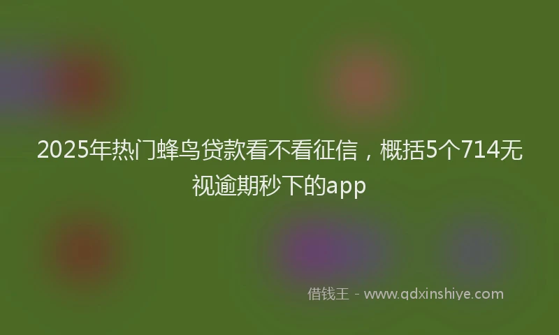 2025年热门蜂鸟贷款看不看征信,概括5个714无视逾期秒下的app