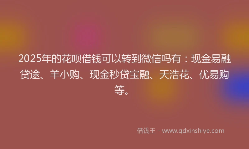 2025年的花呗借钱可以转到微信吗有:现金易融贷途、羊小购、现金秒贷宝融、天浩花、优易购等。