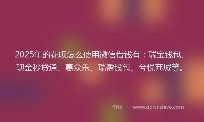 2025年的花呗怎么使用微信借钱有：瑞宝钱包、现金秒贷通、惠众乐、瑞盈钱包、兮悦商城等。