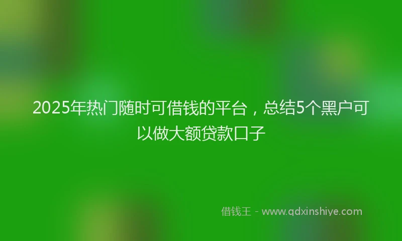 2025年热门随时可借钱的平台，总结5个黑户可以做大额贷款口子