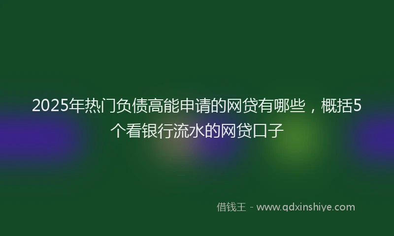 2025年热门负债高能申请的网贷有哪些，概括5个看银行流水的网贷口子