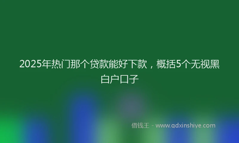 2025年热门那个贷款能好下款，概括5个无视黑白户口子