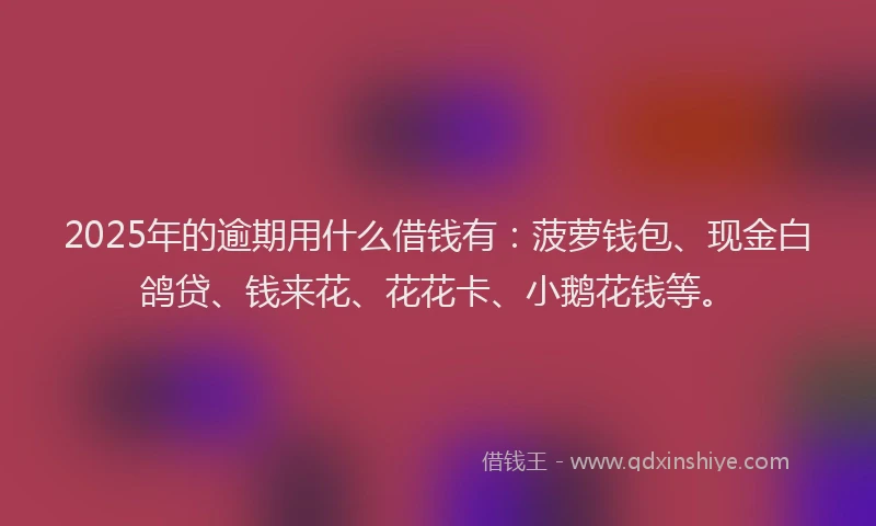 2025年的逾期用什么借钱有:菠萝钱包、现金白鸽贷、钱来花、花花卡、小鹅花钱等。