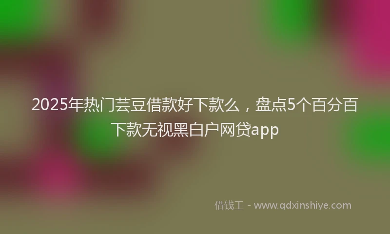 2025年热门芸豆借款好下款么,盘点5个百分百下款无视黑白户网贷app