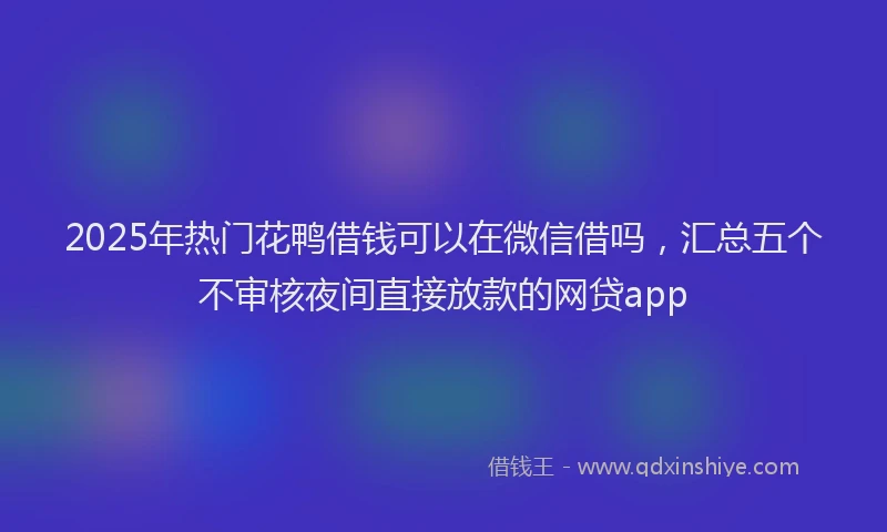 2025年热门花鸭借钱可以在微信借吗，汇总五个不审核夜间直接放款的网贷app