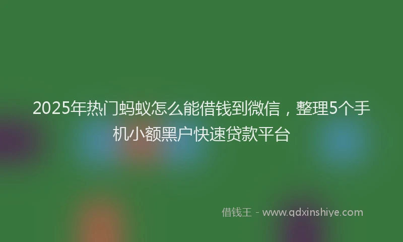 2025年热门蚂蚁怎么能借钱到微信，整理5个手机小额黑户快速贷款平台